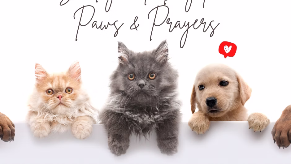 A Day For Paws & Prayers