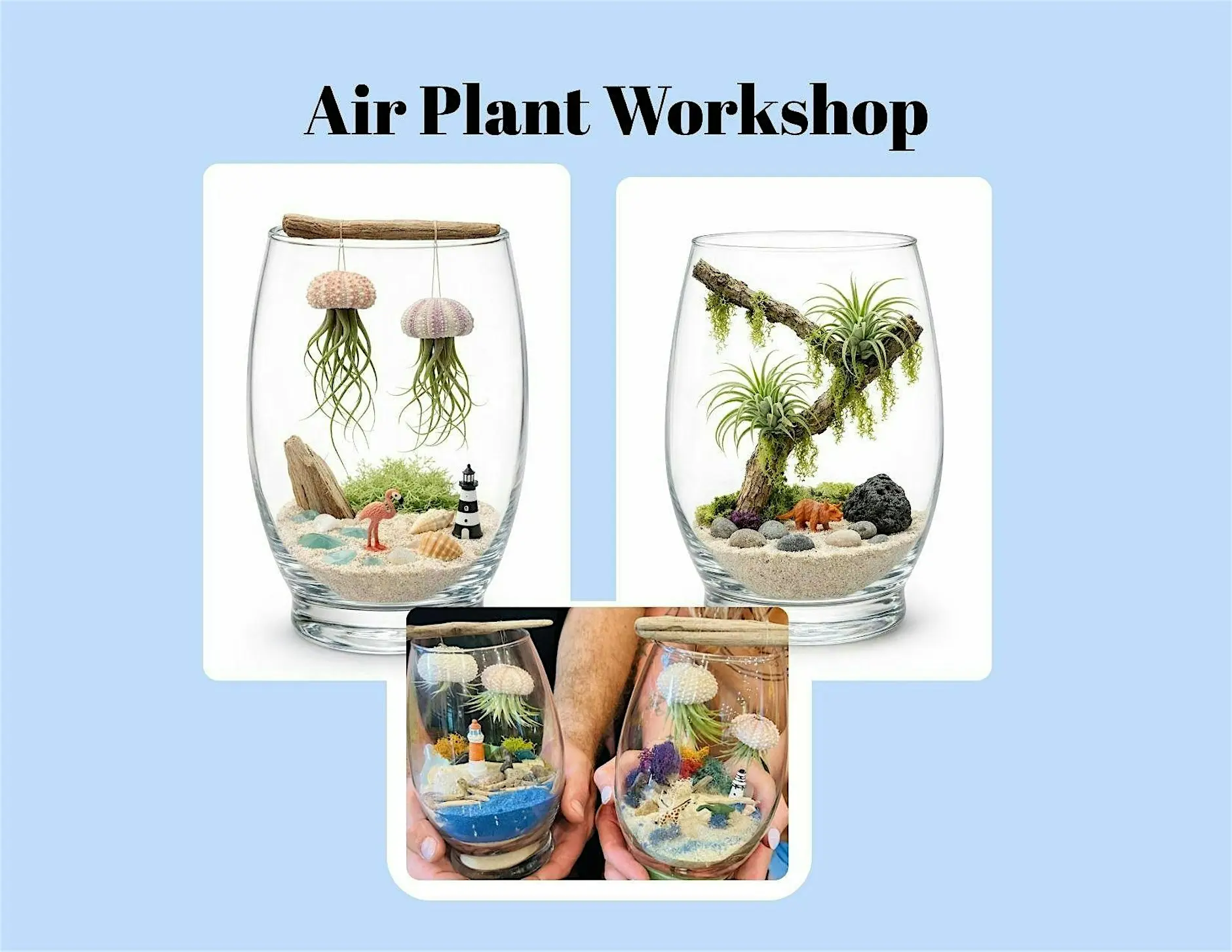 Promotional banner for an Air Plant Workshop showing two glass terrariums with air plants on a light blue background.